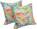 2 Pack Outdoor Throw Pillows (18x18 Inch)