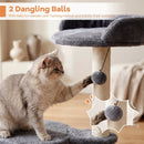 Cat Tree 43" with Condo, Perches & Scratching Posts by LJGDeals