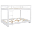 Sturdy Bunk Bed With Ladder by HouseOfZazla