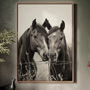 Close Companions at the Fence Line