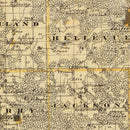 Vintage Map of Jackson County, Iowa 1875