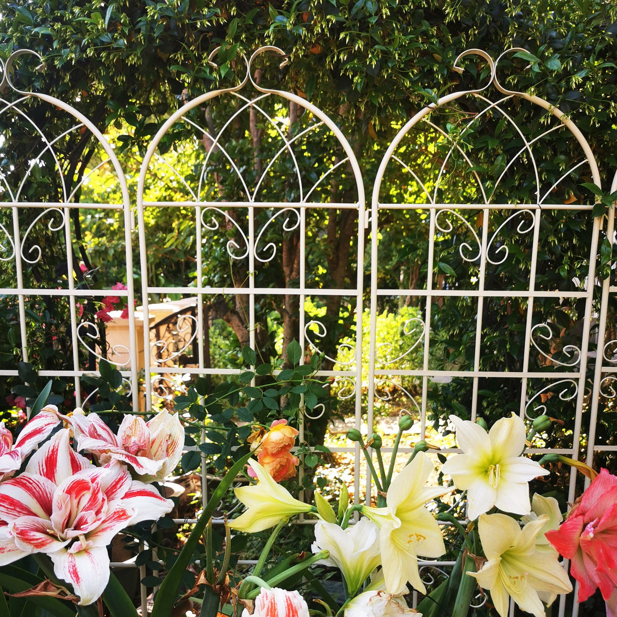 Metal Garden Rustproof Trellis For Climbing Plants Outdoor Flower Support, photo 30 of 40
