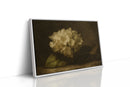Faded Elegance Hydrangea