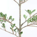 6ft Artificial Olive Tree, Realistic Faux Potted Plant by HouseOfZazla