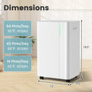 4500 Sq.Ft 54 Pints Dehumidifier with Drain Hose for Home-White by LJGDeals