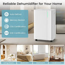 4500 Sq.Ft 54 Pints Dehumidifier with Drain Hose for Home-White by LJGDeals