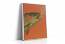 Trout Dreams in Tangerine