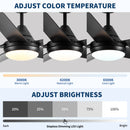 Ceiling Fan With Lights And Remote Control, Reversible DC Motor, 6 Speeds, 3 Cct Dimmable LED, Quiet Timer For Indoor - Black