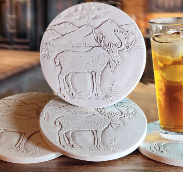 Moose Drink Coasters, installed in a room
