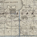 Vintage Map of Carver County, Minnesota 1874