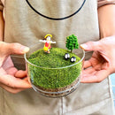 Handcrafted Glass Terrarium Miniature Botanical Garden, Unique Artisan Design, Desktop Decor