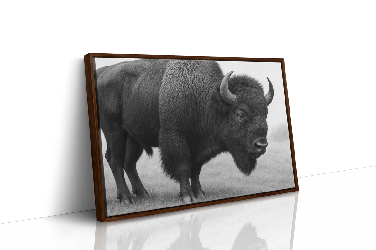 American Bison, photo 15 of 16