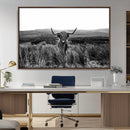 Black and White Highland Cow Canvas Wall Art, Longhorn by MyGreatCanvas | Canvas Wall Art Prints | Photo Prints & Wall Decor