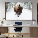 Bison Wall Art Canvas Print For Farmhouse, Animal Canvas