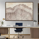 Tree Ring Wall Art Triptych, Rustic Wood Ring Canvas Print,