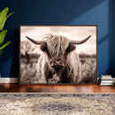 Scottish Cow Longhorn Wall Art Canvas Print