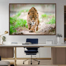 Leopard on the Prowl - Stunning Large Framed Leopard Wall