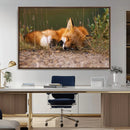Sleeping Fox Wall Art Canvas Print, Farmhouse Wall Decor and