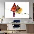 Cardinal Bird Canvas Wall Art - Male and Female Cardinal