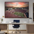 Indiana Memorial Stadium Wall Art Canvas Print, Framed