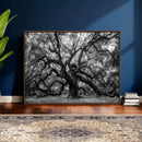 Black and White Old Angel Oak Tree Wall Art Canvas Print by MyGreatCanvas | Canvas Wall Art Prints | Photo Prints & Wall Decor