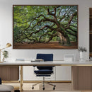 Historic Tree Wall Art – Framed Mossy Branch Canvas Artwork, by MyGreatCanvas | Canvas Wall Art Prints | Photo Prints & Wall Decor