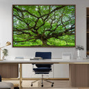 Ancient Tree Wall Art Canvas Print, Framed Sprawling by MyGreatCanvas | Canvas Wall Art Prints | Photo Prints & Wall Decor