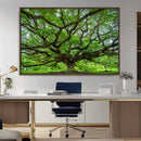 Oak Tree Wall Art Print, Forest Canvas Wall Art for Home and by MyGreatCanvas | Canvas Wall Art Prints | Photo Prints & Wall Decor