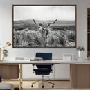 Monochrome Highland Cow Wall Art Canvas Print – Framed by MyGreatCanvas | Canvas Wall Art Prints | Photo Prints & Wall Decor