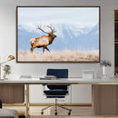 Elk Wall Art Canvas Print – Framed Mountain Wildlife Art by MyGreatCanvas | Canvas Wall Art Prints | Photo Prints & Wall Decor