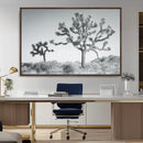Joshua Tree Wall Art Canvas Print – Framed Black White