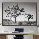 Joshua Tree Wall Art Canvas Print – Framed Desert Tree Art by MyGreatCanvas | Canvas Wall Art Prints | Photo Prints & Wall Decor