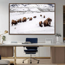 Bison Herd Wall Art Canvas Print – Framed Western Wildlife by MyGreatCanvas | Canvas Wall Art Prints | Photo Prints & Wall Decor