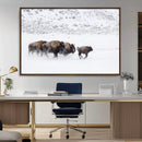 Bison Herd Decor Wall Art Canvas Print – Framed Snowy Bison by MyGreatCanvas | Canvas Wall Art Prints | Photo Prints & Wall Decor