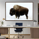 Bison Wall Art Canvas Print – Framed Western Wildlife