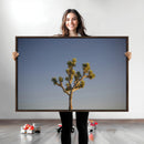 Joshua Tree Wall Art Canvas Print – Framed Southwestern