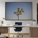 Joshua Tree Wall Art Canvas Print – Framed Southwestern by MyGreatCanvas | Canvas Wall Art Prints | Photo Prints & Wall Decor