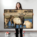 Wild Elk Wall Art Canvas Print – Framed Neutral Wildlife