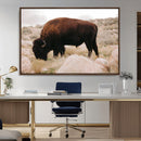 Western Wildlife Wall Art Canvas Print, Majestic Wilderness by MyGreatCanvas | Canvas Wall Art Prints | Photo Prints & Wall Decor
