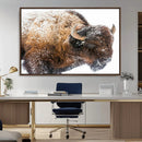 Snowy Buffalo Wall Art Canvas Print – Framed Rustic Lodge by MyGreatCanvas | Canvas Wall Art Prints | Photo Prints & Wall Decor