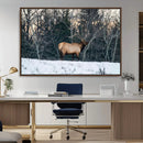 Wild Elk Wall Art Canvas Print – Framed Winter Wildlife by MyGreatCanvas | Canvas Wall Art Prints | Photo Prints & Wall Decor