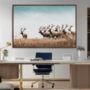 Elk Herd Wall Art Canvas Print – Framed Wildlife Photography