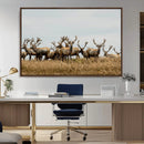 Elk Herd Wall Art Canvas Print – Framed Wildlife Photography