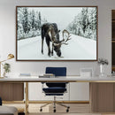 Moose Snow Wall Art Canvas Print – Framed Winter Wildlife