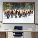 Bison Herd Scene Wall Art Canvas Print – Framed Western by MyGreatCanvas | Canvas Wall Art Prints | Photo Prints & Wall Decor