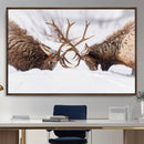 Dramatic Elk Antler Battle Wall Art Canvas Print – elk by MyGreatCanvas | Canvas Wall Art Prints | Photo Prints & Wall Decor