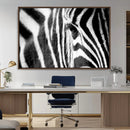 Zebra Stripes Wall Art Canvas Print – Black White Contrast by MyGreatCanvas | Canvas Wall Art Prints | Photo Prints & Wall Decor