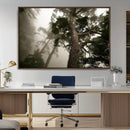 Misty Forest Tall Trees Foggy Atmosphere Nature Serenity by MyGreatCanvas | Canvas Wall Art Prints | Photo Prints & Wall Decor