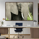Wild Elephant Wall Art Canvas Print by MyGreatCanvas | Canvas Wall Art Prints | Photo Prints & Wall Decor