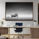 Elephand and Zebra Wall Art Canvas Print, Modern Artwork